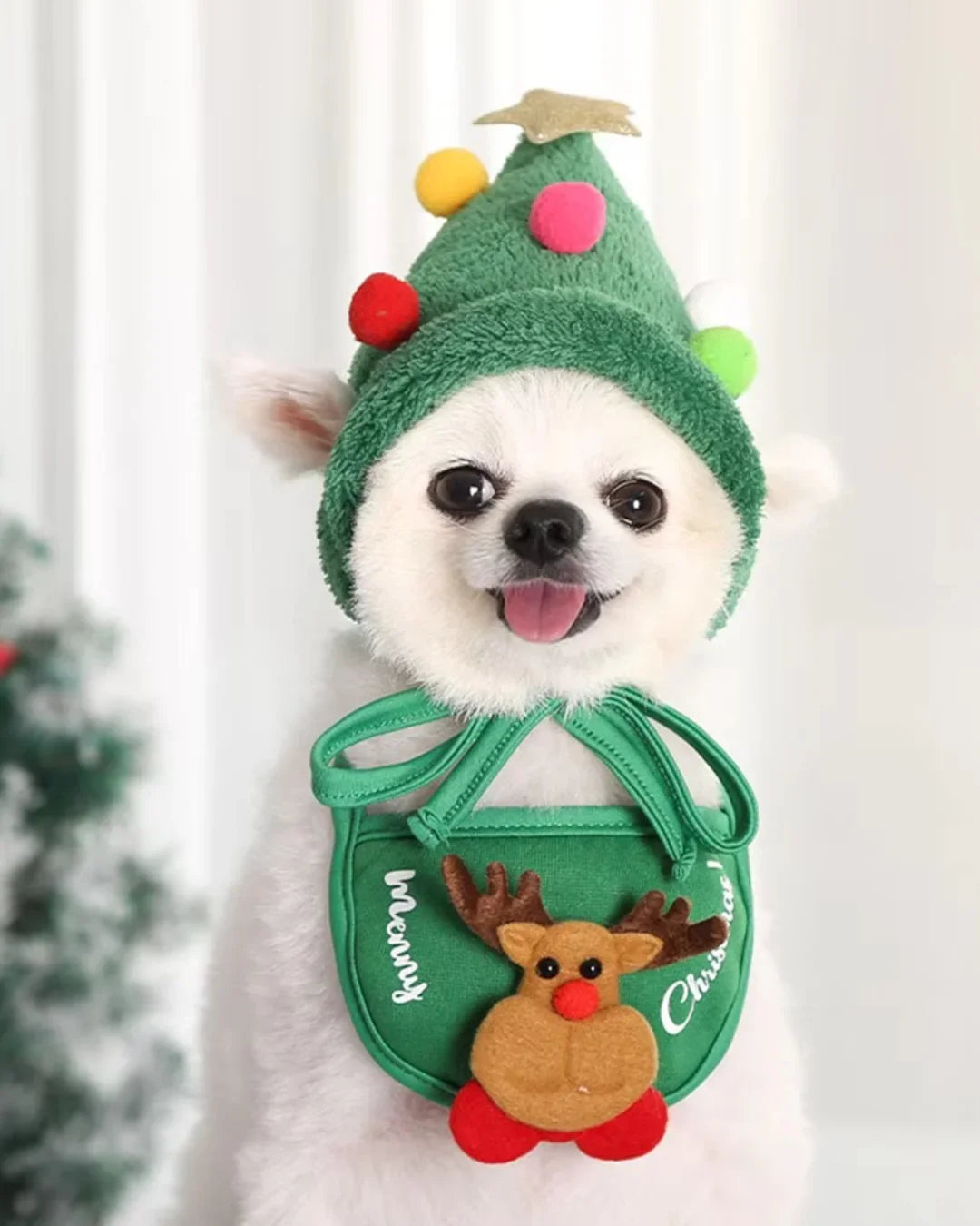 Christmas outfits for dogs